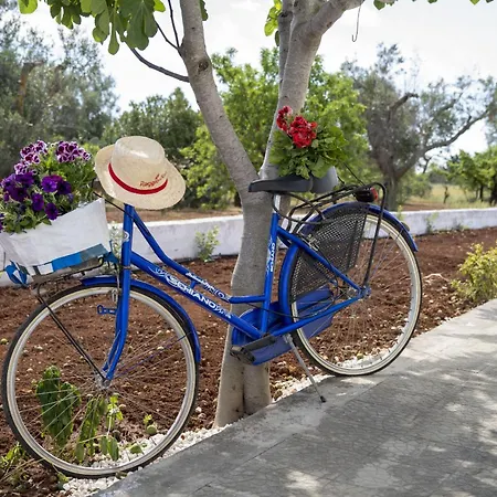 Filia φιλία فيلة